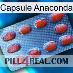 Anaconda Capsule 06